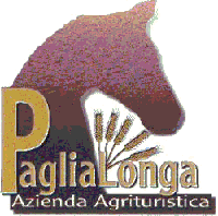 l'espressione tranquilla e attenta del cavallo