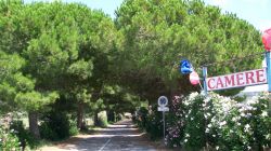 viale d\'ingresso
