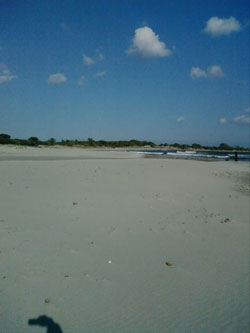 affitto appartamenti in Sardegna