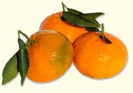 guadagna sul web
