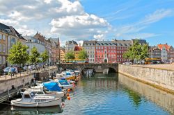 Copenaghen