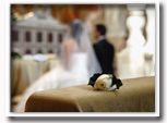 fotografi matrimoni a roma