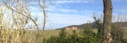 Il Poggio alla Pieve