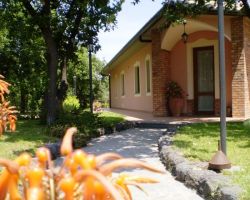 Vista Ingresso