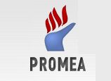 consulenza alle imprese